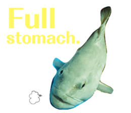 381332293