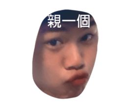 381342094