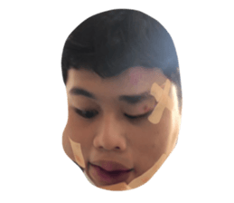 381342098