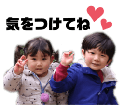381356441