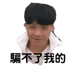 381383296
