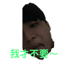 381383298