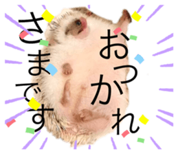 381401852