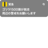 381416807