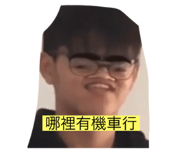 381426416