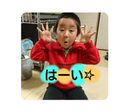 381484497