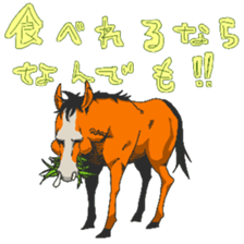 381497491