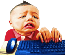 381498642