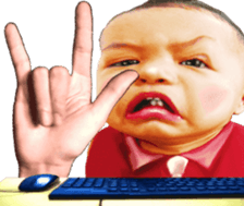 381498647