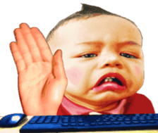 381498653