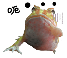 381513136