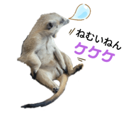 381517479