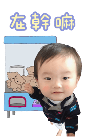 381530246