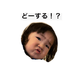 381544416