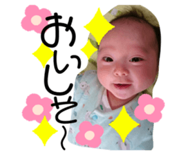 381545507
