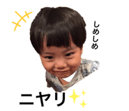 381561920