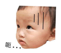 38156598
