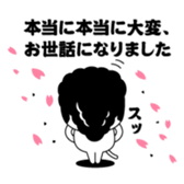 381617628