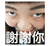 381628167