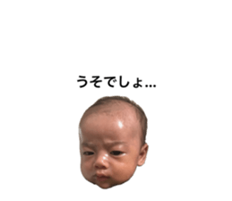 381637567