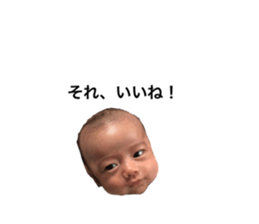 381637571