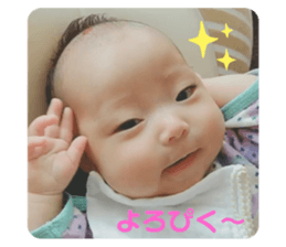 381637893
