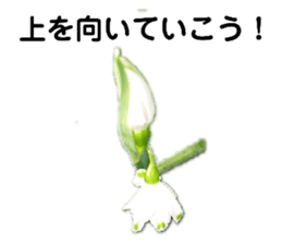 381707865