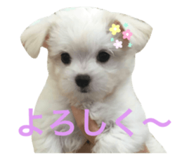 381726342