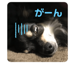 381744239