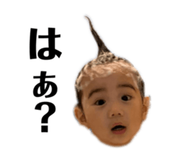 381746517