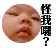 381746950