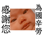 381746961