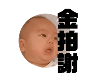 381746981