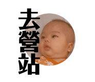 381746988