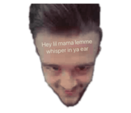381758096