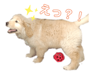 381790160