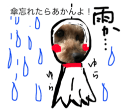 38181449