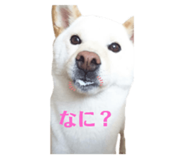 381836483