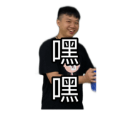 381842070