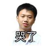 381842071