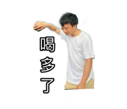 381842075