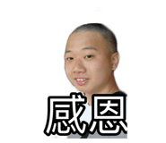 381842085