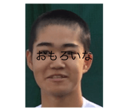 381872785