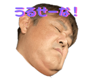 381928113