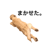 381975990
