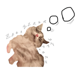 381982180