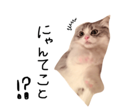 381982181