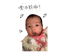 382015195
