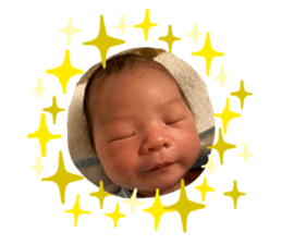 382019647
