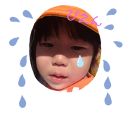 382030612